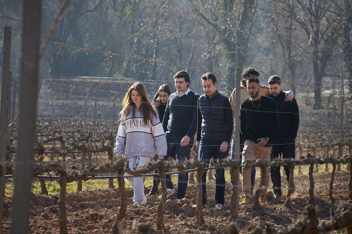 Students for the Oller del Mas vineyards